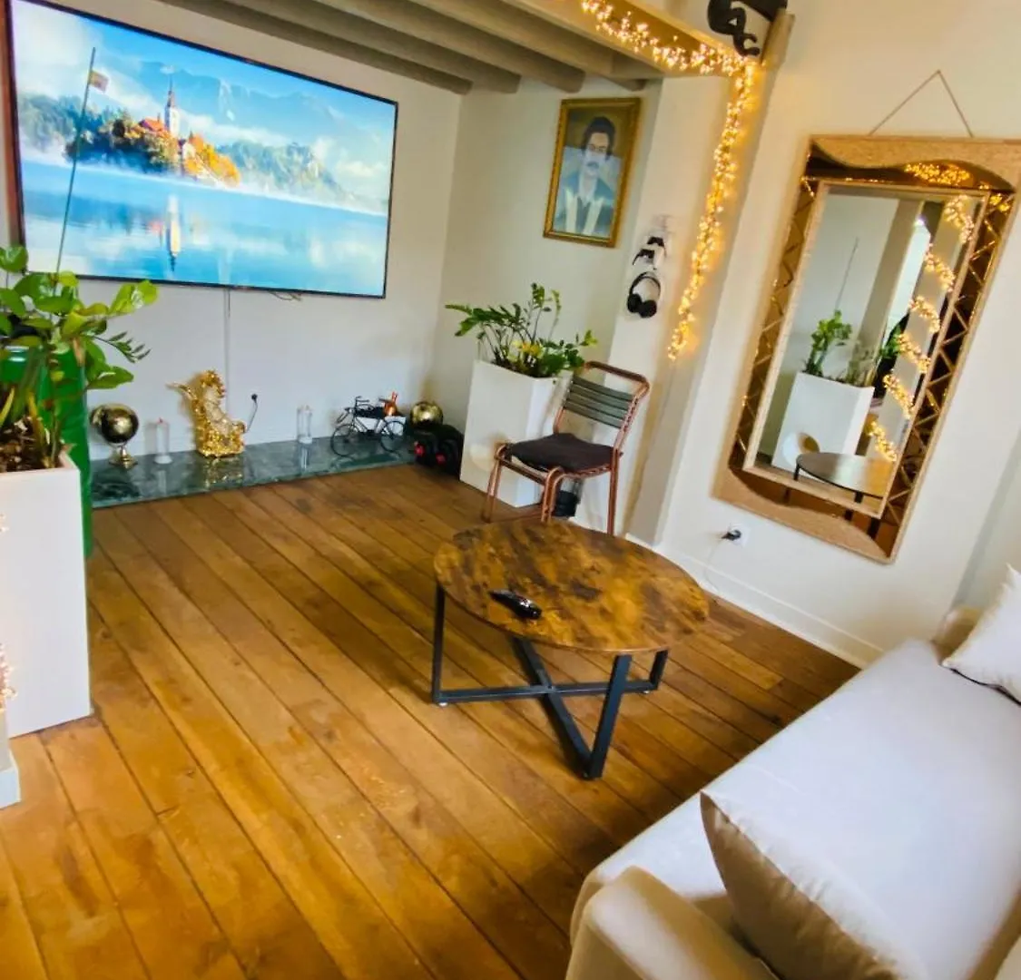 Fahime Apartment Paris